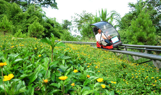 Hoạt động ngoài trời