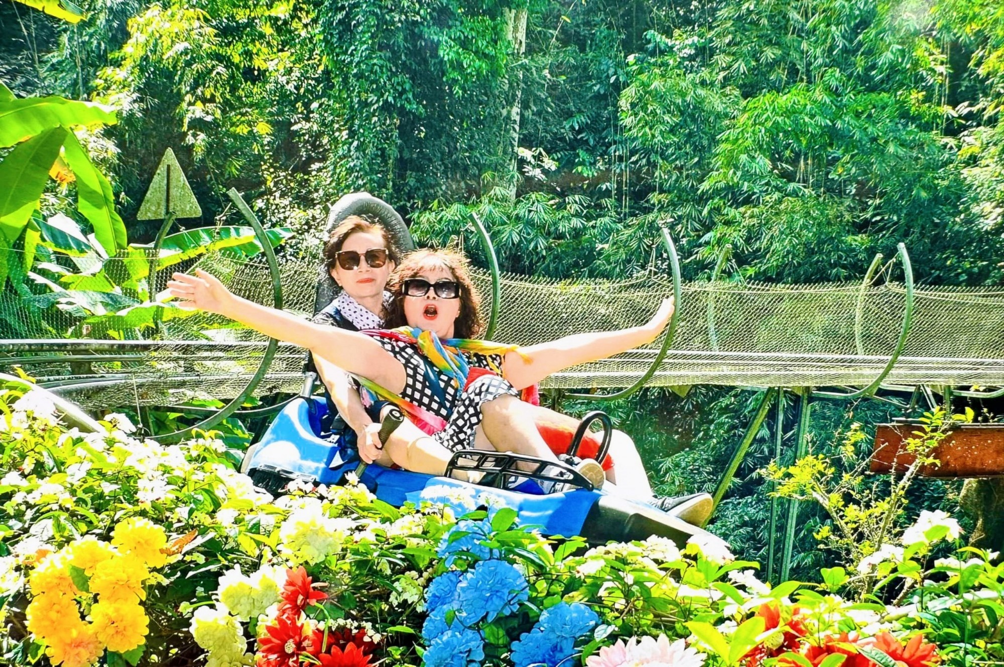 Xe trượt Apine Coaster với đường trượt dài 1.650m 