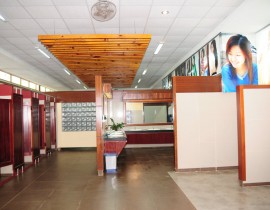 DSC-2736-FILEminimizer.jpg
