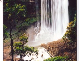 scan0036-FILEminimizer.jpg