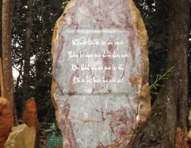 DSCF5507-FILEminimizer.jpg