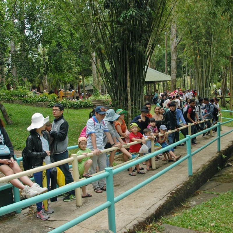 TCH-1885.jpg