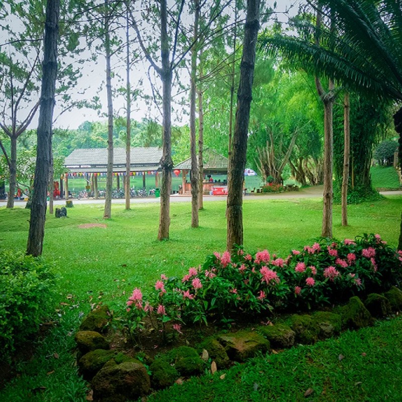 IMG20170505091452.jpg